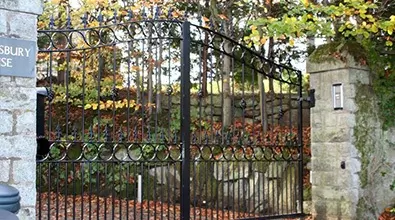 wrought iron driveway gate